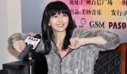 今日必吃的瓜孙燕姿,揭秘歌手背后的故事与音乐旅程