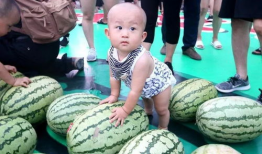 今日吃瓜汇总,娱乐圈热点事件盘点